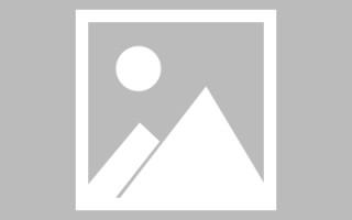 渭南网页设计师周记（网页设计周记26篇300字）