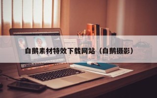 渭南白鹅素材特效下载网站（白鹅摄影）